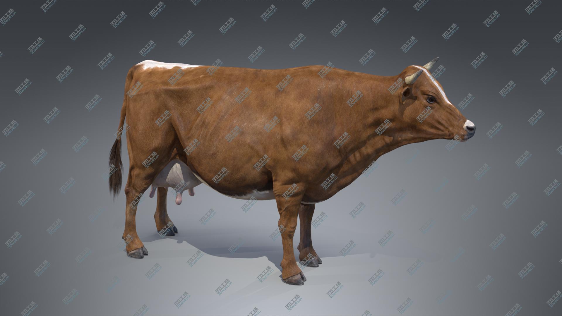 images/goods_img/202104093/3D Red Milch Cow PBR/3.jpg